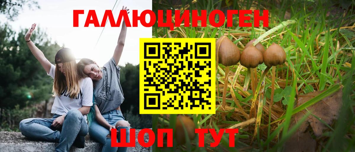 Галлюциногенные грибы мухоморы Мытищи