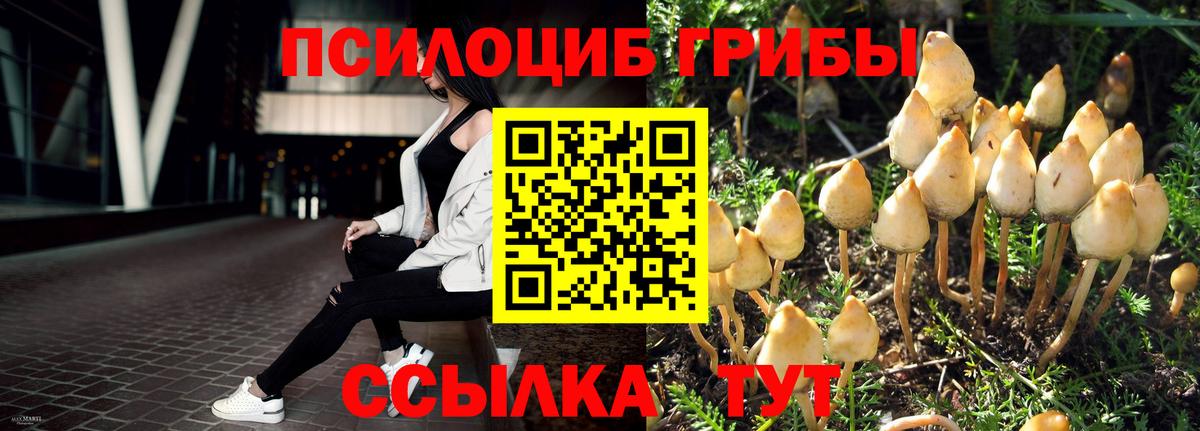 Галлюциногенные грибы ЛСД  Псилоцибиновые грибы MAGIC MUSHROOMS  Вход с VPN  Мытищи 
